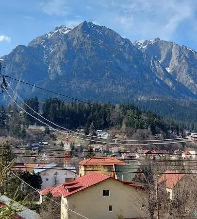 Homestay Mountain View