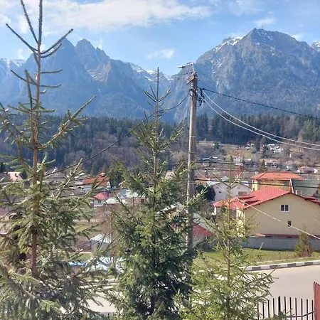 Homestay Mountain View *