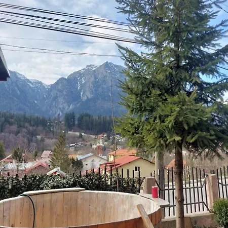 Mountain View Busteni