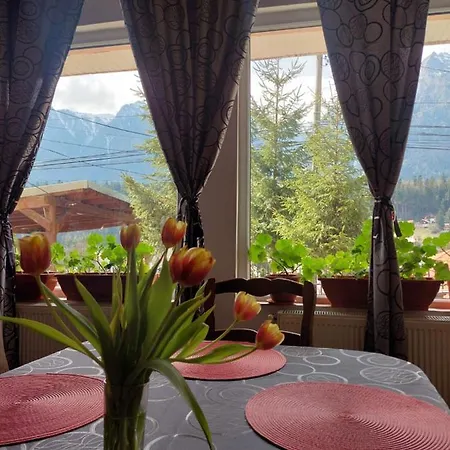 Homestay Mountain View Busteni