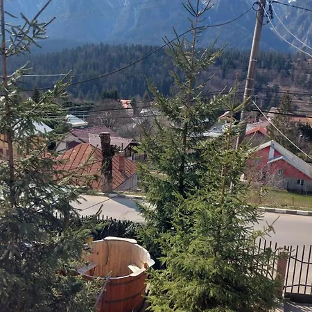 Mountain View Busteni