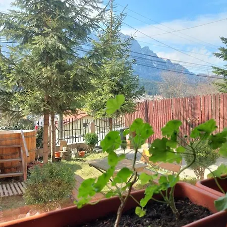Mountain View Homestay *
