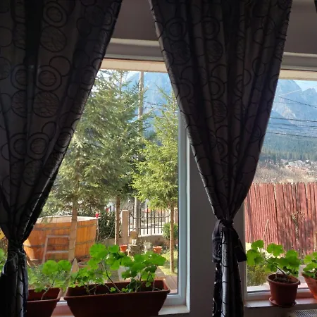 Homestay Mountain View Busteni
